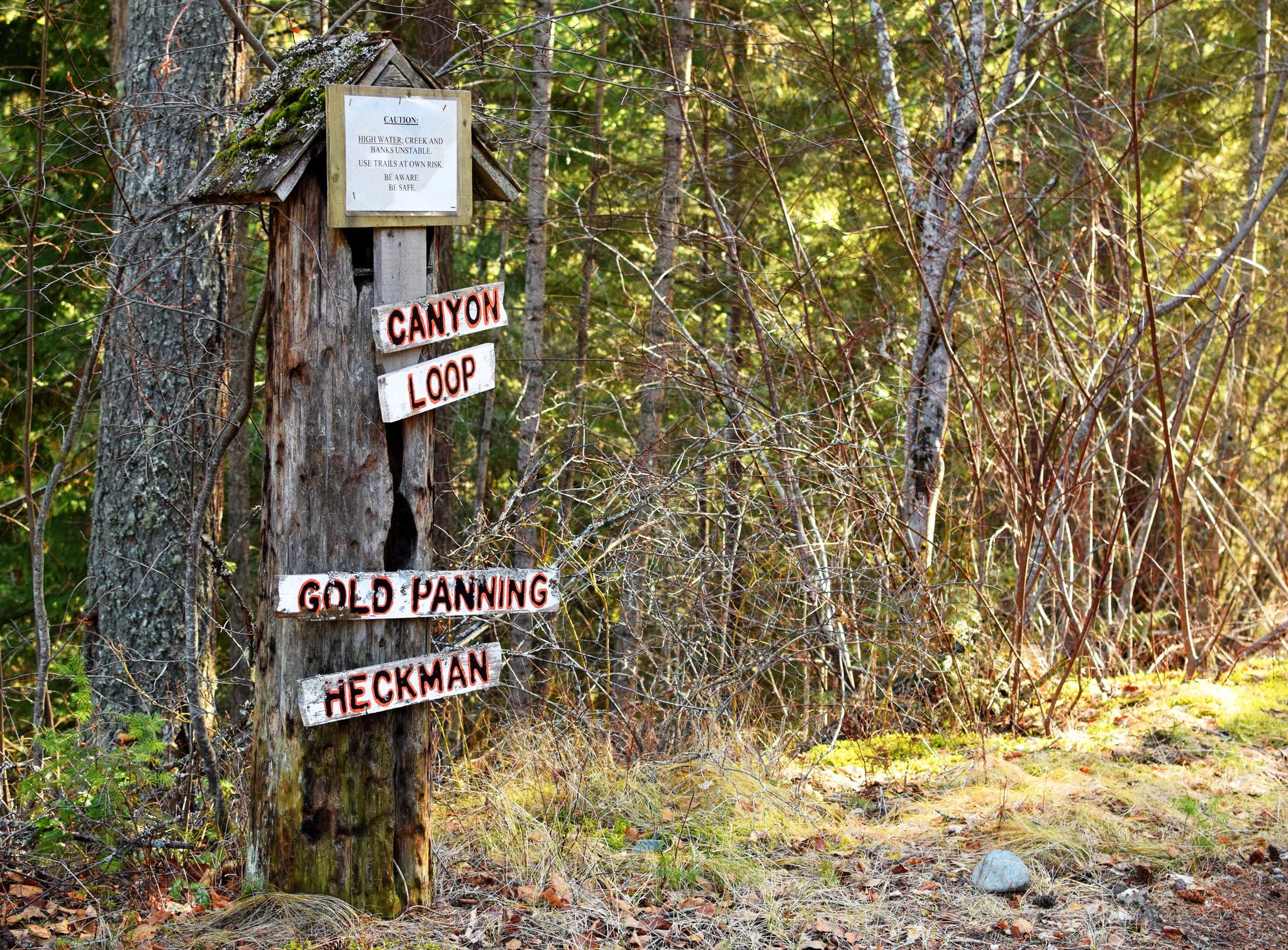 A tree has wooden signs pointing to trails on it.