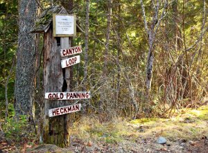 A tree has wooden signs pointing to trails on it.