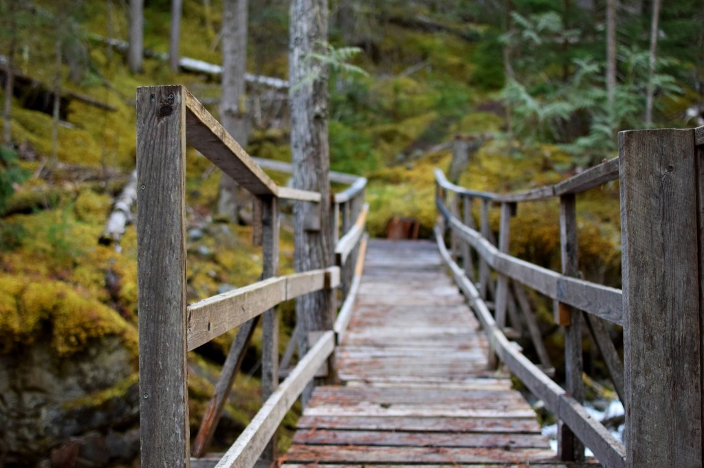 Big plans for North Okanagan riverside campground under new, local ownership | iNFOnews.ca