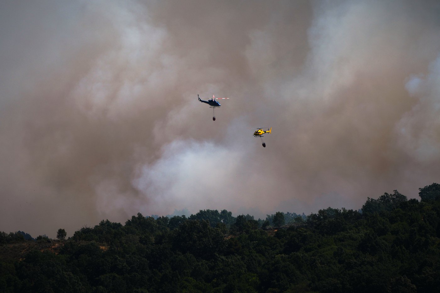 Europe battles fast-moving wildfires sweeping across Spain and France, in photos | iNFOnews.ca
