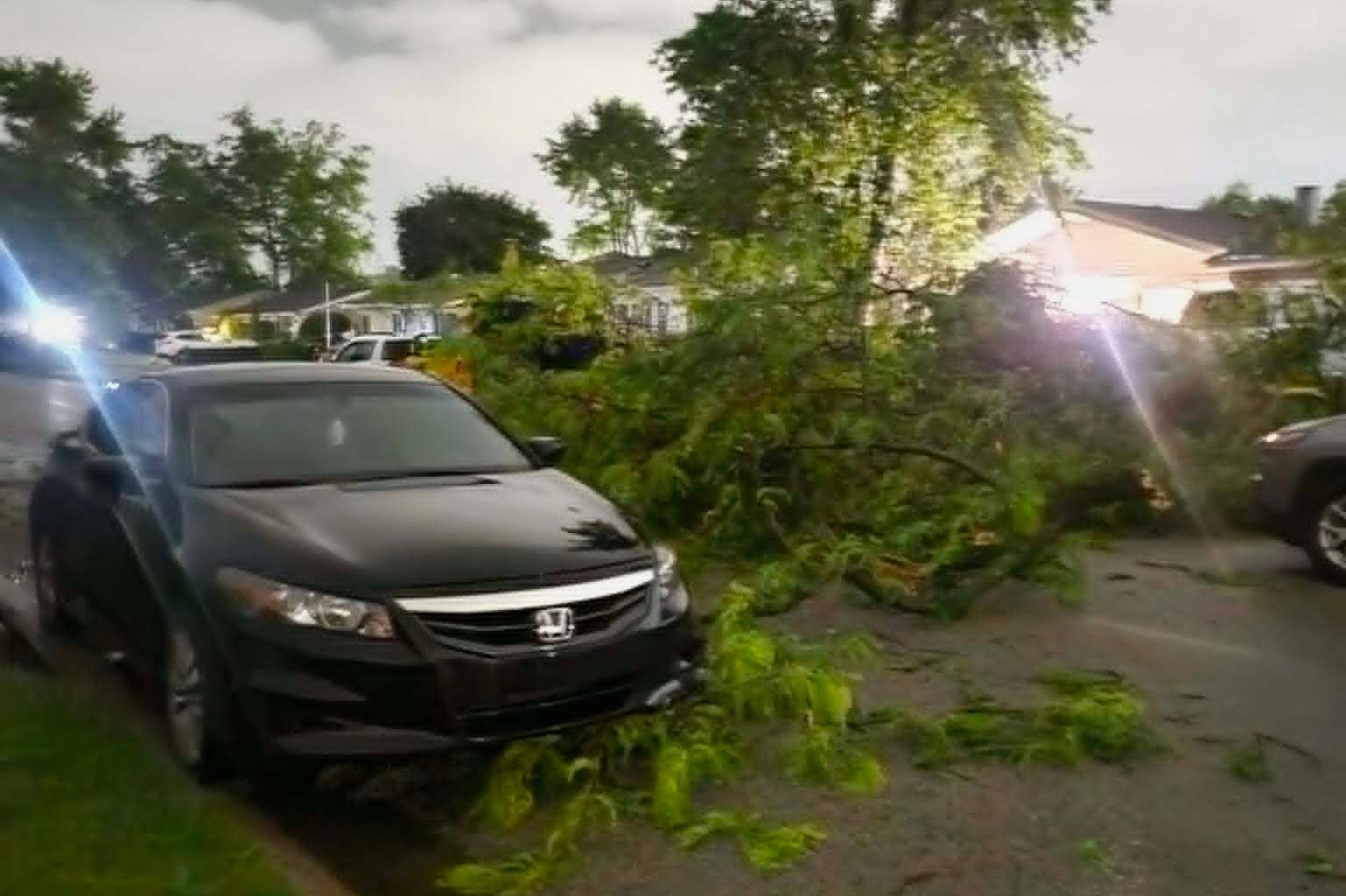 Tornadoes in Illinois and Indiana leave residents grappling with damage; cleanup efforts underway | iNFOnews.ca
