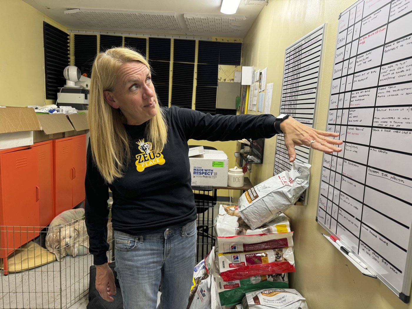 A fugitive gains fame in New Orleans eluding dart guns and nets | iNFOnews.ca