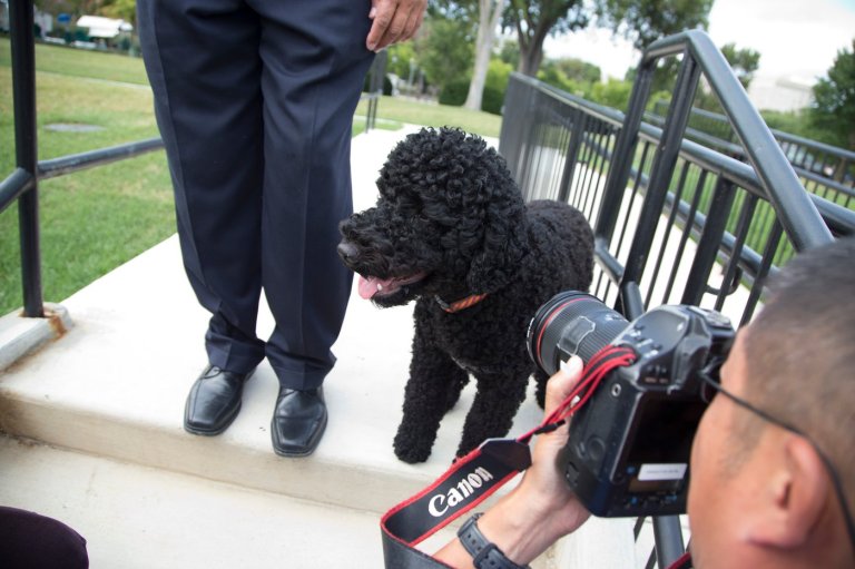 The Obamas' family dog Sunny dies, the former president says | iNFOnews.ca