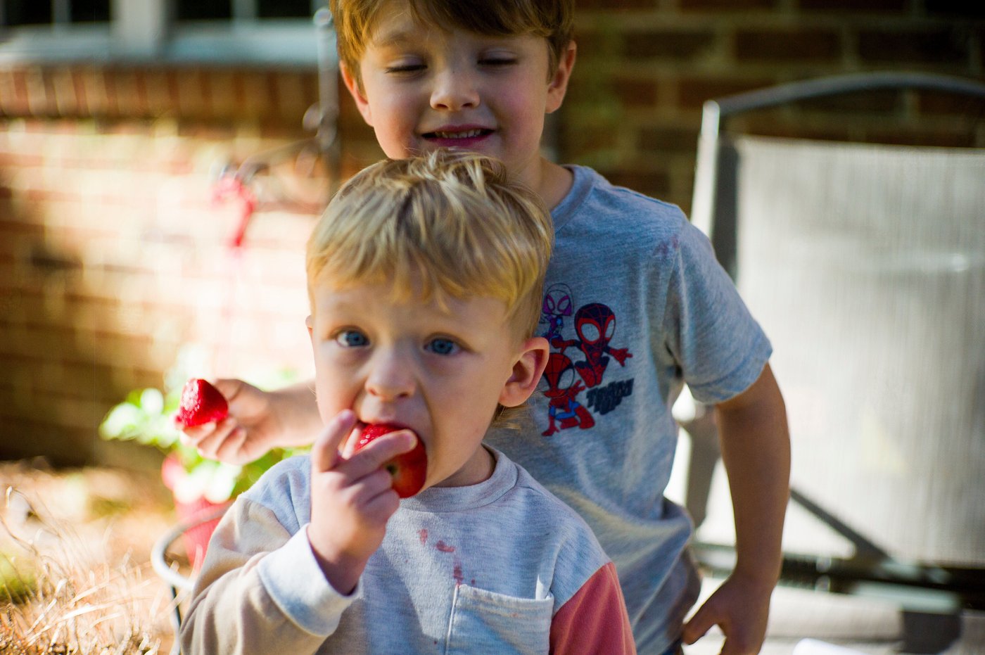 WIC food program receives $300M to keep running during government shutdown | iNFOnews.ca WIC food program receives $300M to keep running during government shutdown | iNFOnews.ca
