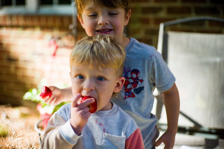 WIC food program receives $300M to keep running during government shutdown | iNFOnews.ca