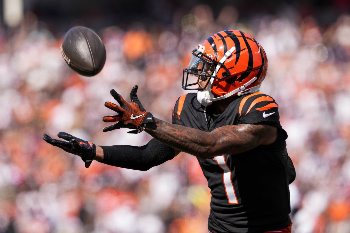 Giants will look for their first win of the season at home against the Bengals on Sunday night | iNFOnews.ca