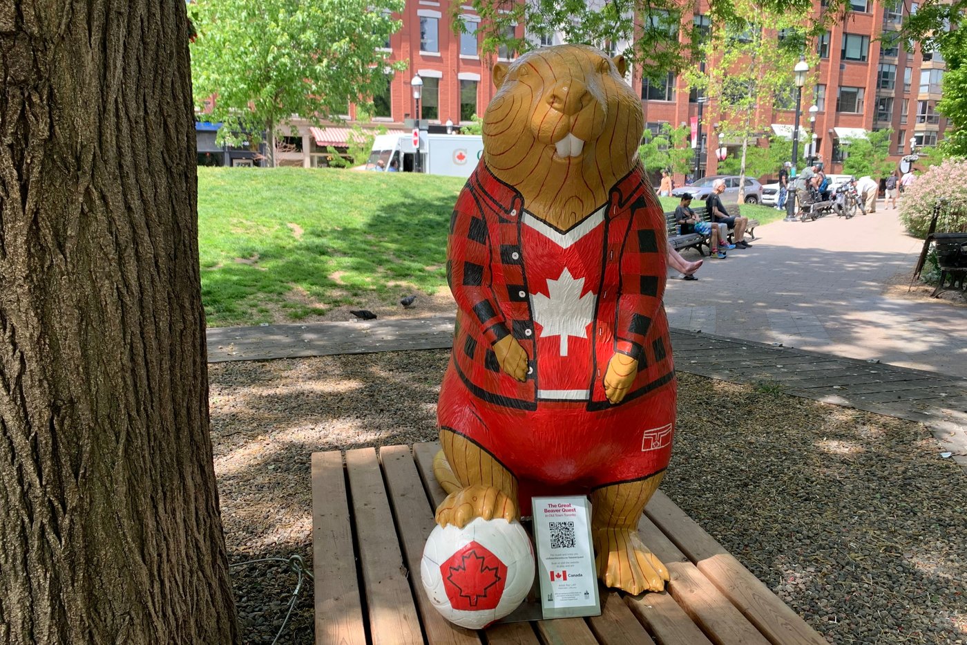 Join the beaver hunt: Toronto neighborhood offers unique World Cup-themed scavenger hunt | iNFOnews.ca Join the beaver hunt: Toronto neighborhood offers unique World Cup-themed scavenger hunt | iNFOnews.ca