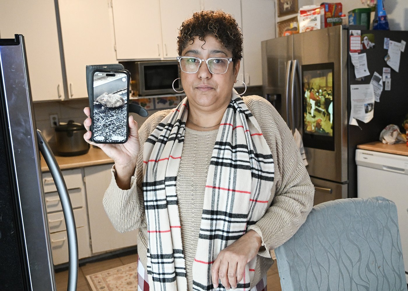 As governments pour billions into new affordable housing, existing units in disrepair | iNhome