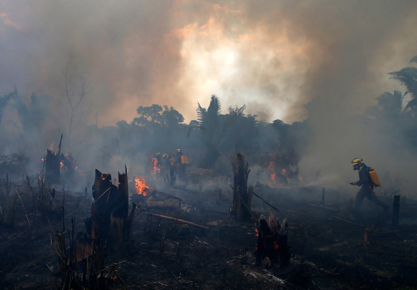 Despite gains combating deforestation in Brazil's Amazon, forest degradation is a looming threat | iNFOnews.ca Despite gains combating deforestation in Brazil's Amazon, forest degradation is a looming threat | iNFOnews.ca