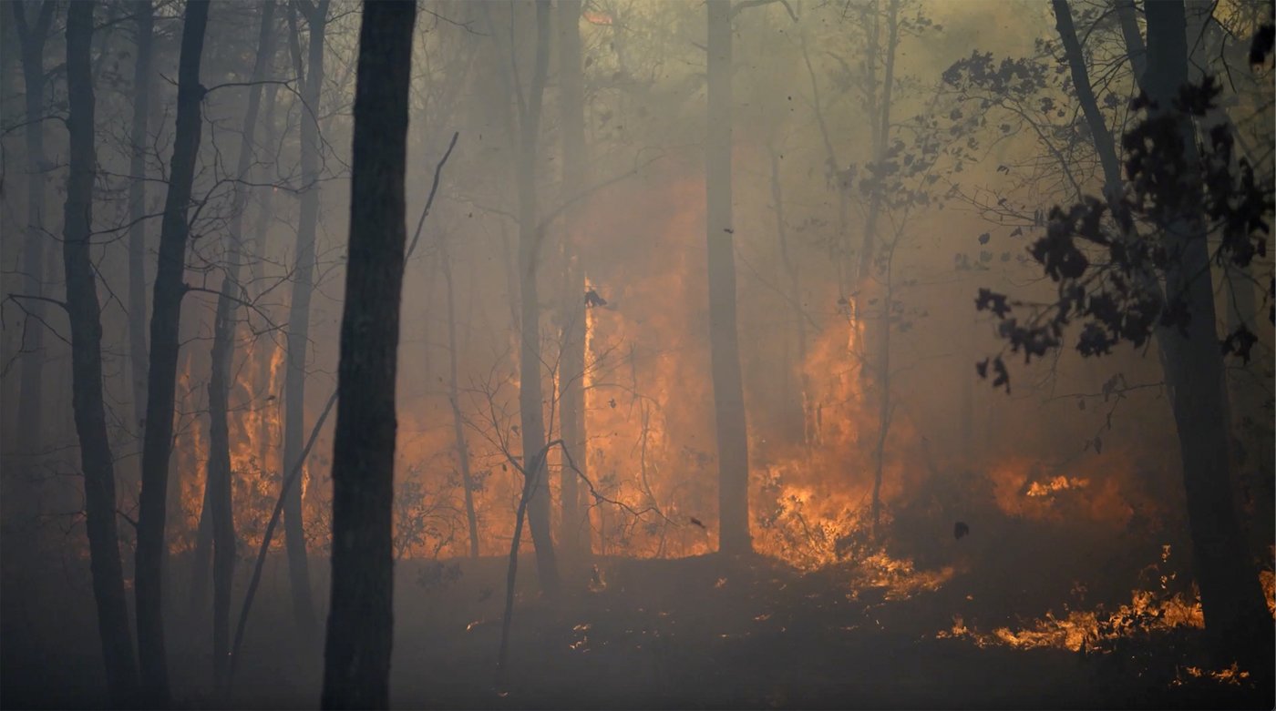 Crews battling New Jersey wildfires in driest conditions in nearly 120 years | iNFOnews.ca