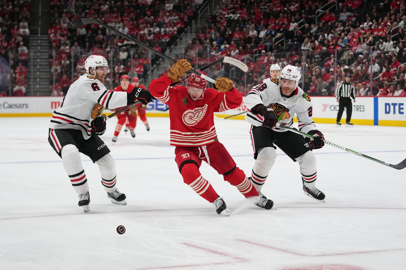 Arvidsson nets sixth career hat trick as Red Wings down Blackhawks, 4-1 | iNFOnews.ca Arvidsson nets sixth career hat trick as Red Wings down Blackhawks, 4-1 | iNFOnews.ca