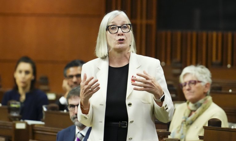 Number of temporary worker applications falls as fines rise, government says | iNFOnews.ca