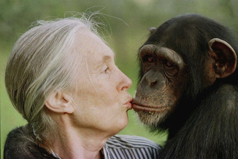 Jane Goodall, conservationist renowned for chimpanzee research and environmental advocacy, has died | iNFOnews.ca