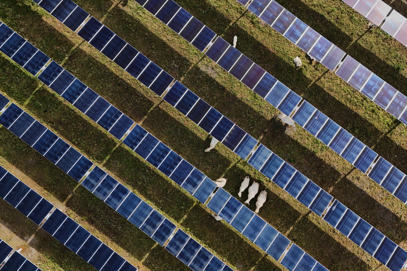 The Iran war is driving clean energy development. It's not enough to help the planet, yet | iNFOnews.ca