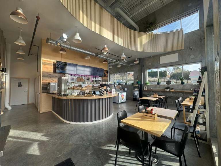 A brightly lit cafe has sun coming through the windows.