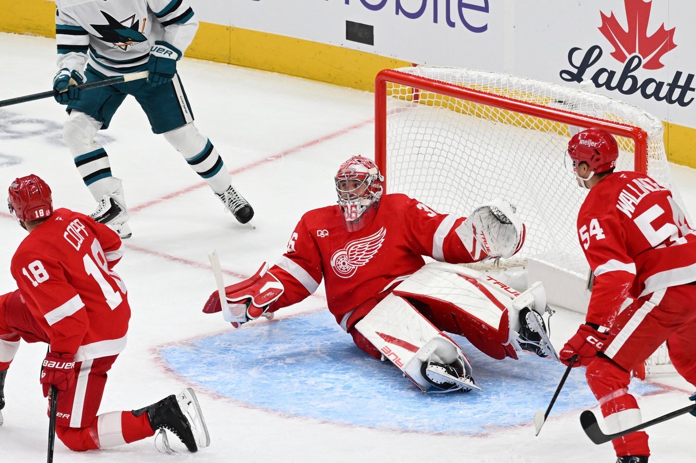 Lucas Raymond scores in shootout as Red Wings rally for 4-3 win over Sharks | iNFOnews.ca Lucas Raymond scores in shootout as Red Wings rally for 4-3 win over Sharks | iNFOnews.ca