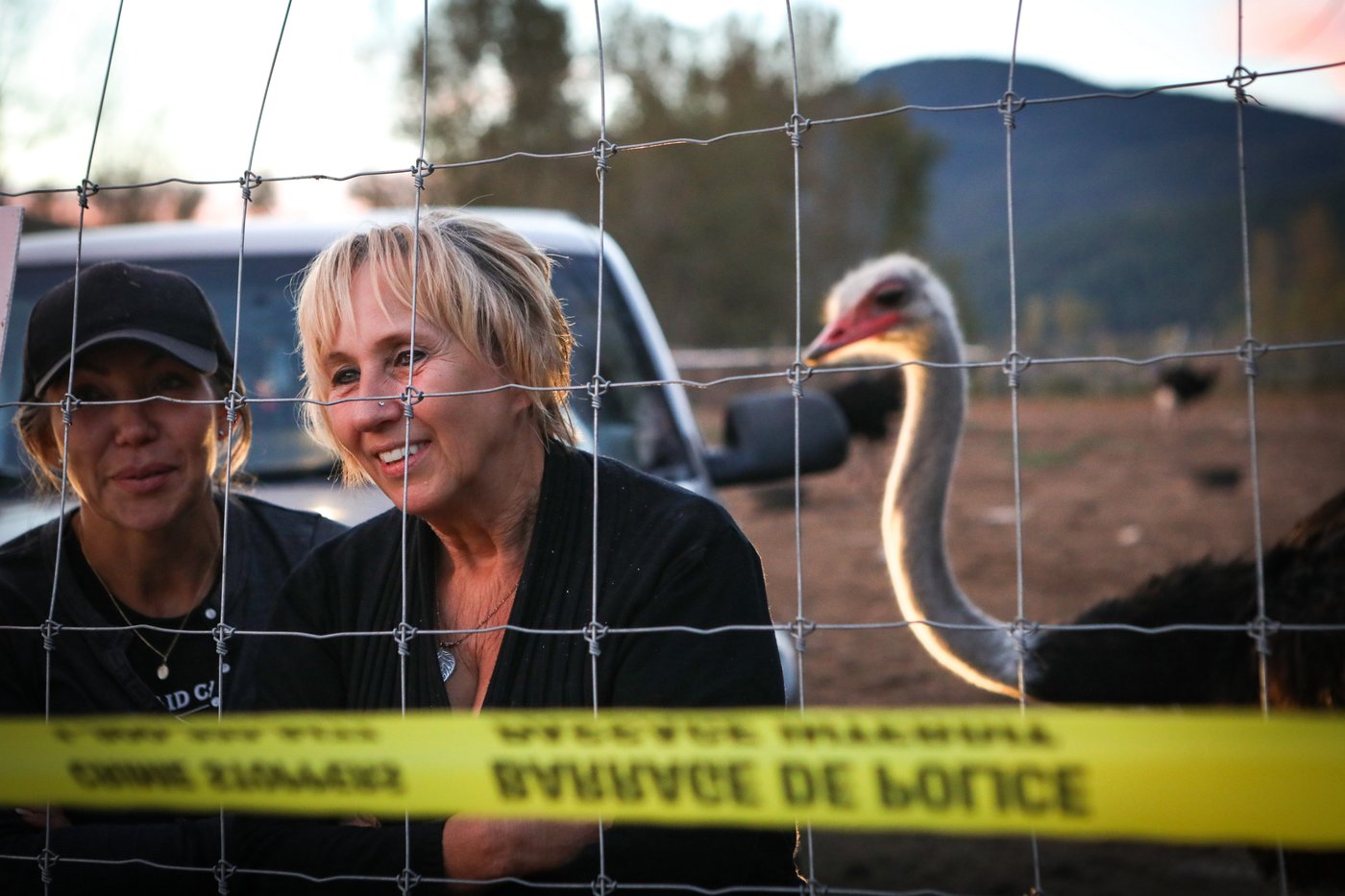 Police probe threats of violence aimed at businesses linked to B.C. ostrich cull | iNFOnews.ca