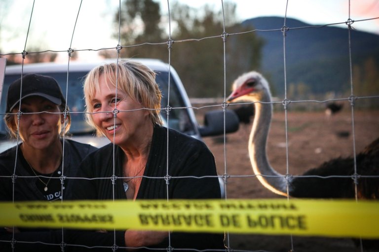 CFIA prepares for cull on B.C. ostrich farm after outbreak of avian influenza | iNFOnews.ca