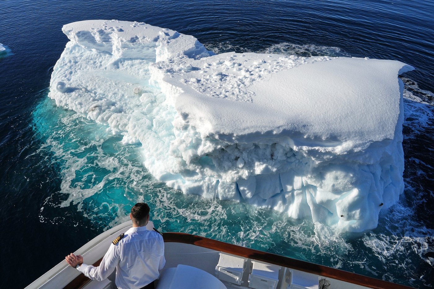 In Antarctica, photos show a remote area teeming with life amid growing risks from climate change | iNFOnews.ca