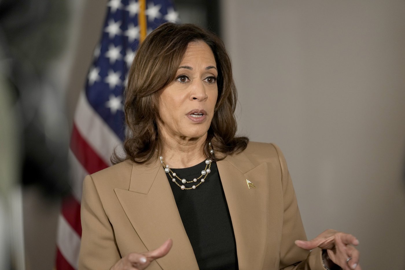Harris leaning on some of the biggest names in Democratic politics to close out campaign | iNFOnews.ca