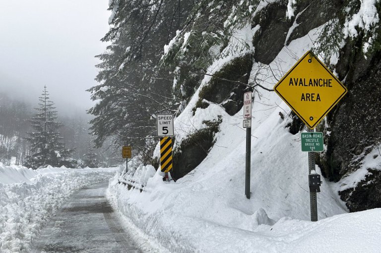 Avalanche safety urged by WorkSafeBC after four skiers killed | iNFOnews.ca