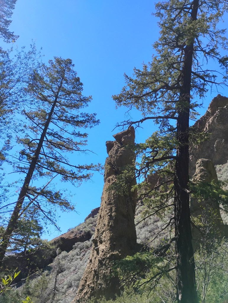 iN PHOTOS: Towering hoodoos to check out in Thompson-Okanagan | iNFOnews.ca iN PHOTOS: Towering hoodoos to check out in Thompson-Okanagan | iNFOnews.ca
