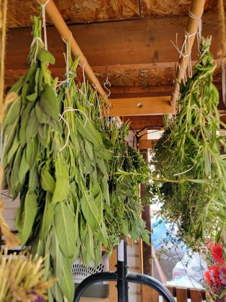 Kamloops couple turns tiny space into year round healthy food buffet | iNhome Kamloops couple turns tiny space into year round healthy food buffet | iNhome