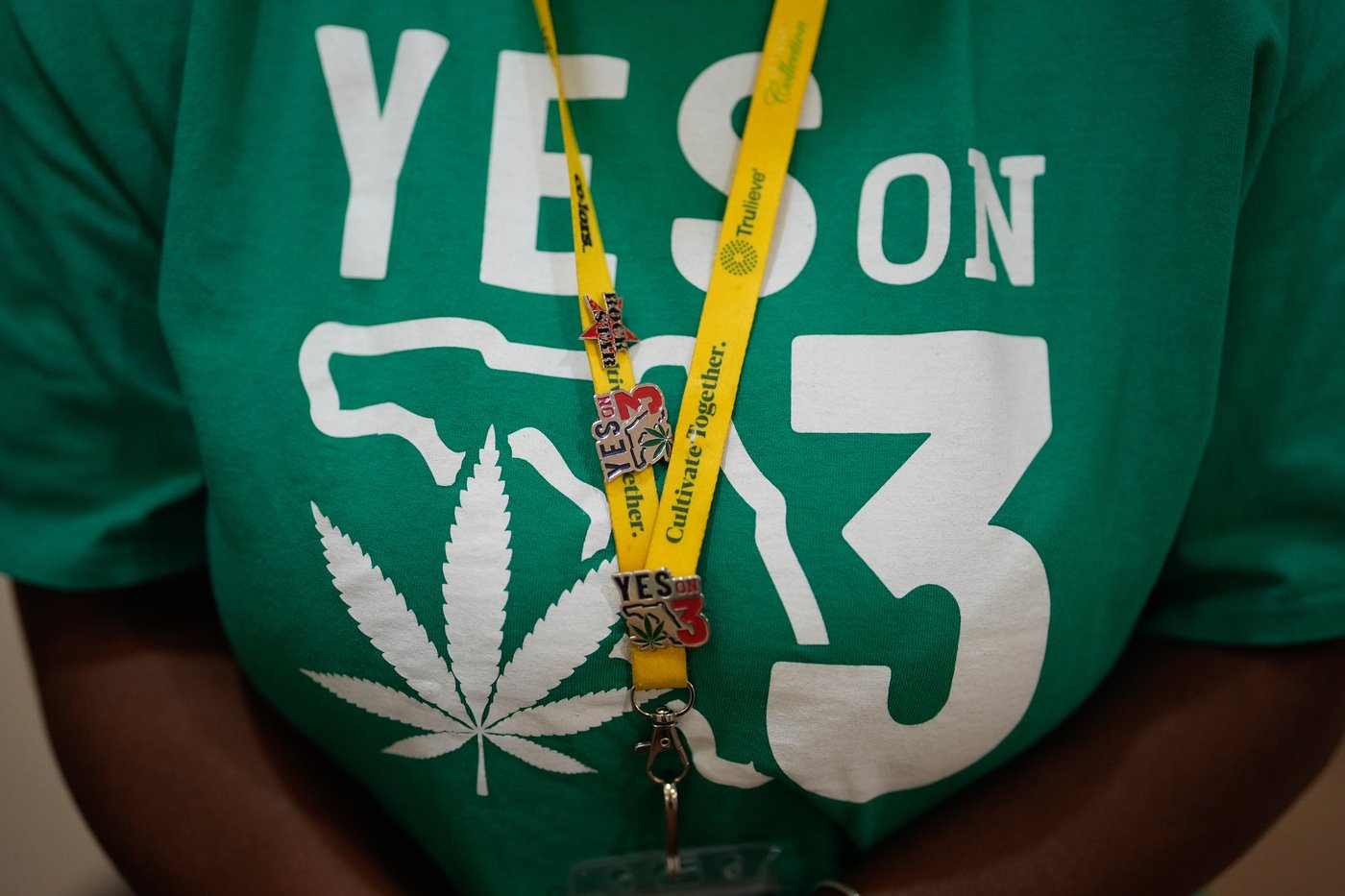 Campaign to legalize recreational marijuana takes DeSantis administration to state Supreme Court | iNFOnews.ca