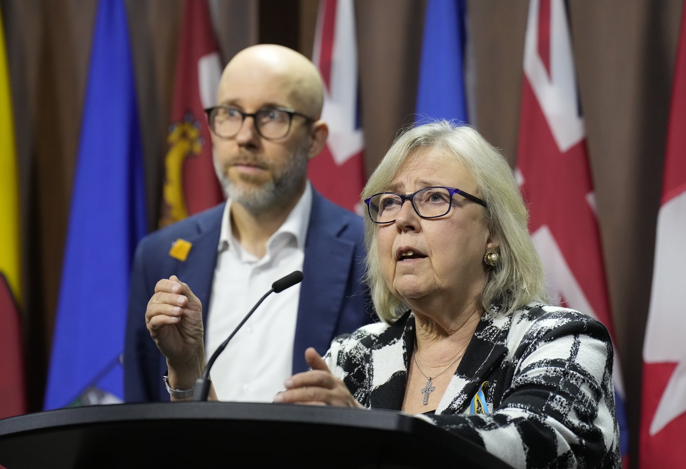 Two candidates running for Green Party leadership, winner to be announced Nov. 14 | iNFOnews.ca