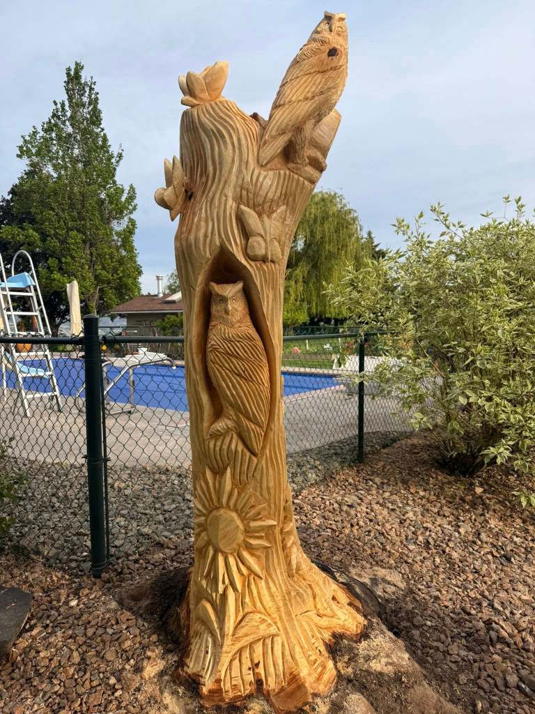 iN PHOTOS: Penticton couple make chainsaw art out of topped trees | iNFOnews.ca