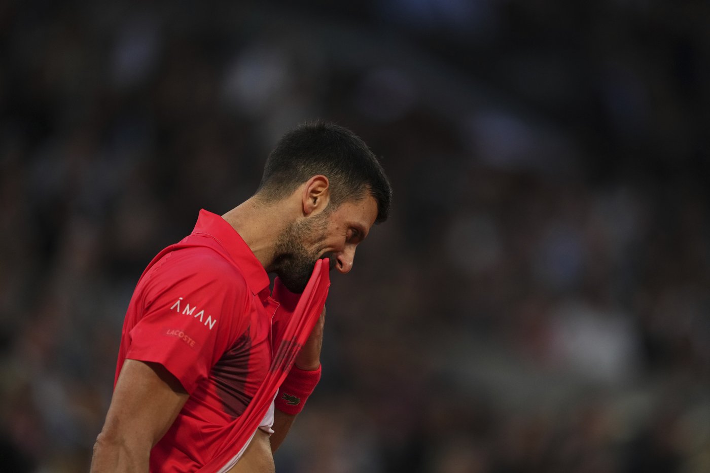 Buggin' out: Little flies bother Djokovic and Zverev during their French Open quarterfinal | iNFOnews.ca Buggin' out: Little flies bother Djokovic and Zverev during their French Open quarterfinal | iNFOnews.ca