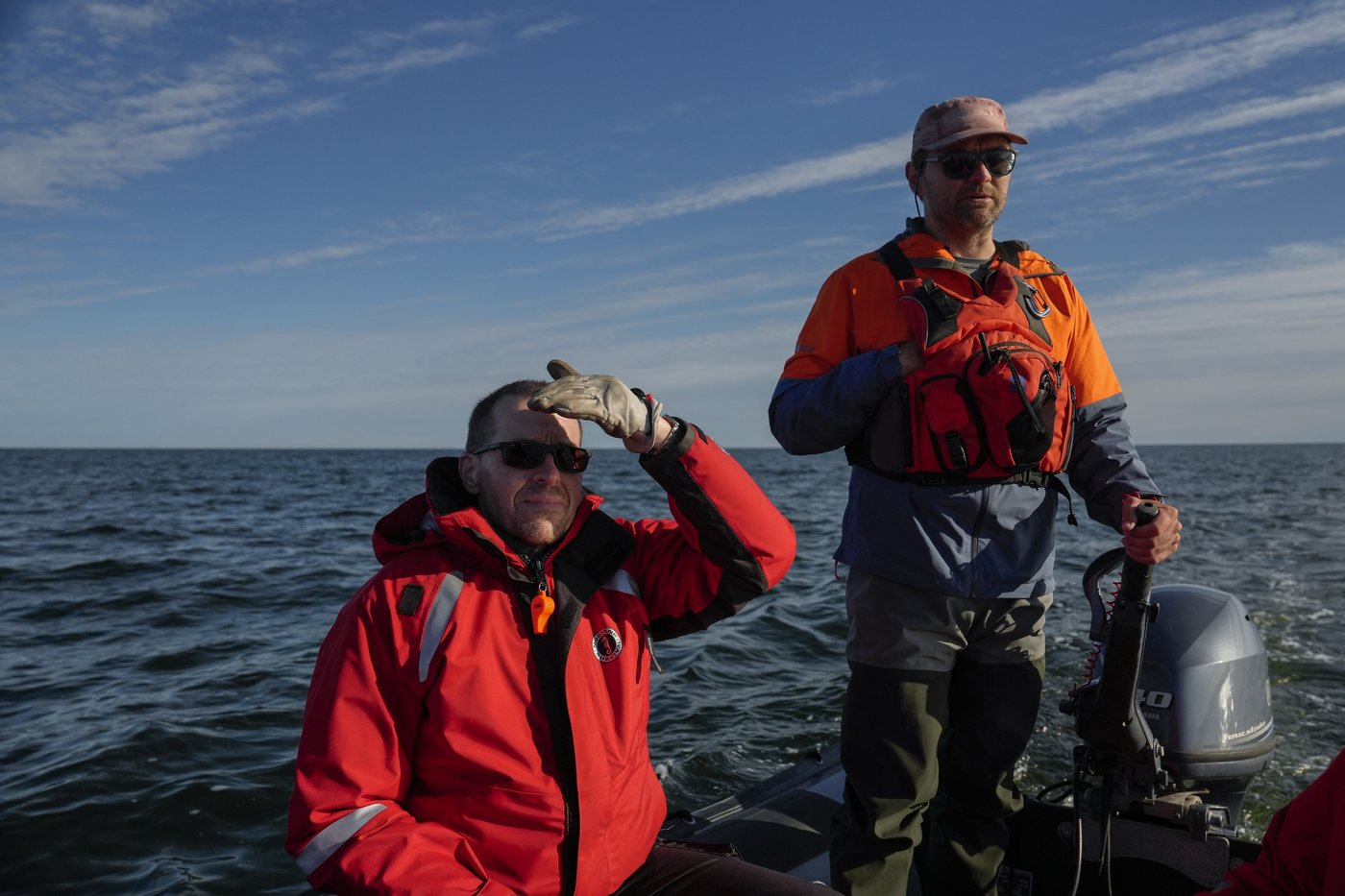 In the gateway to the Arctic, fat, ice and polar bears are crucial. All three are in trouble | iNFOnews.ca