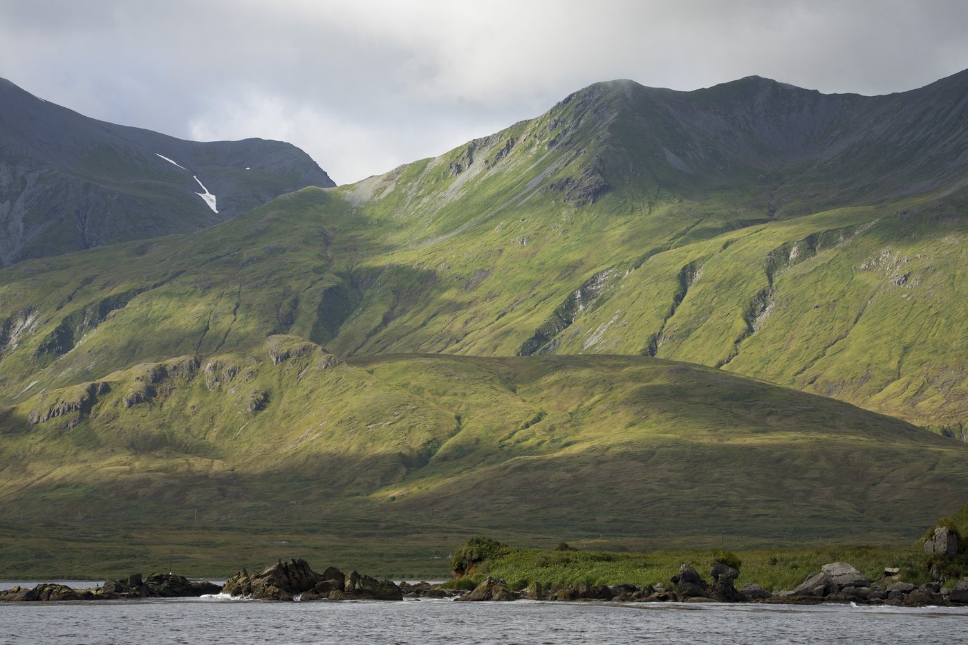 Why an Alaska island is using peanut butter and black lights to find a rat that might not exist | iNFOnews.ca Why an Alaska island is using peanut butter and black lights to find a rat that might not exist | iNFOnews.ca