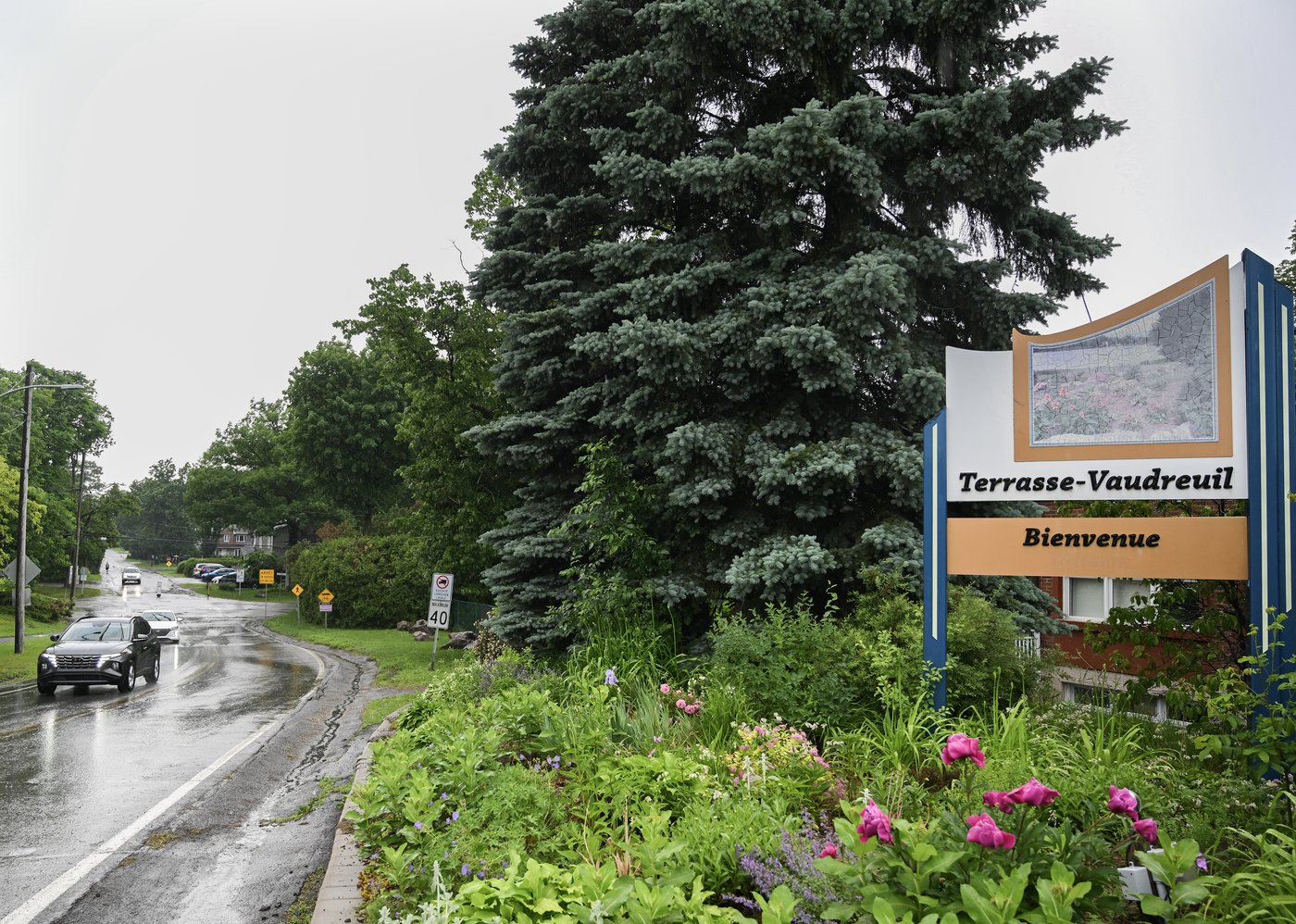 Quebec town of Terrasse-Vaudreuil recognizes trees as living beings with rights | iNFOnews.ca