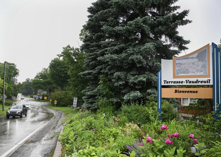 Quebec town of Terrasse-Vaudreuil recognizes trees as living beings with rights | iNFOnews.ca