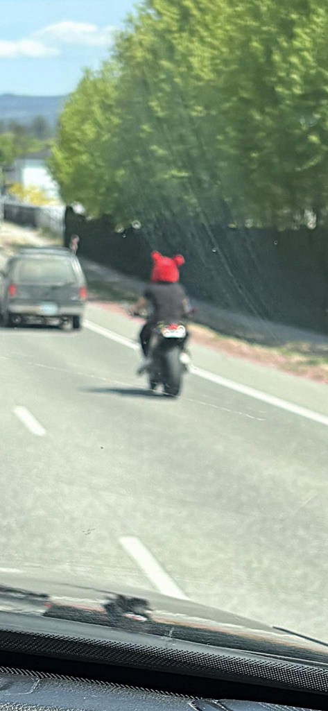 iN PHOTOS: Head-scratching sights on roads in Okanagan, Kamloops | iNwheels