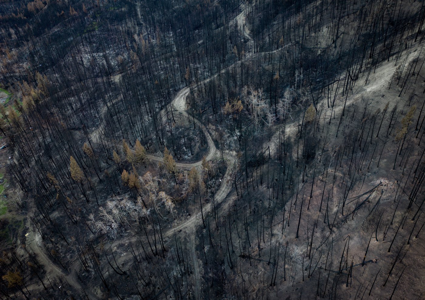 Photo Gallery: Ashes pave road to recovery after B.C. wildfires | iNhome