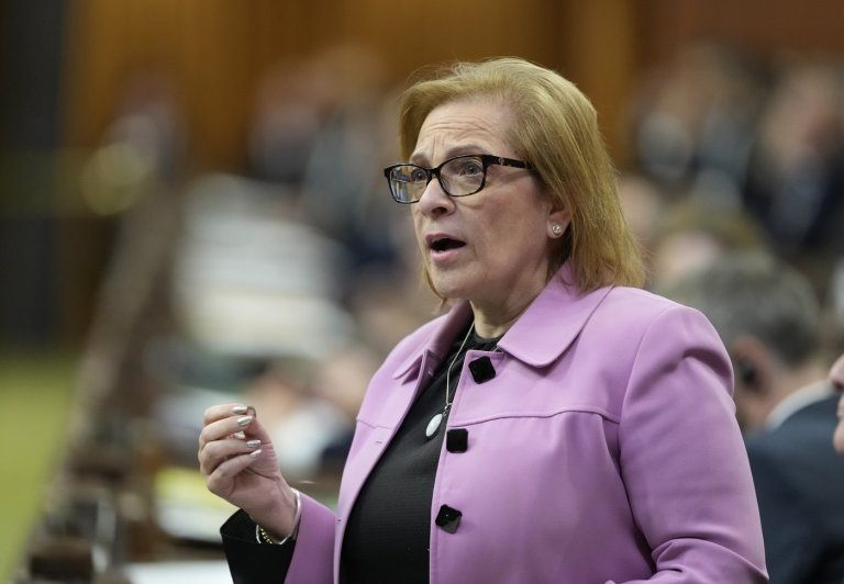 Minister says 'something' happened to trigger order to surrender citizenship docs | iNFOnews.ca