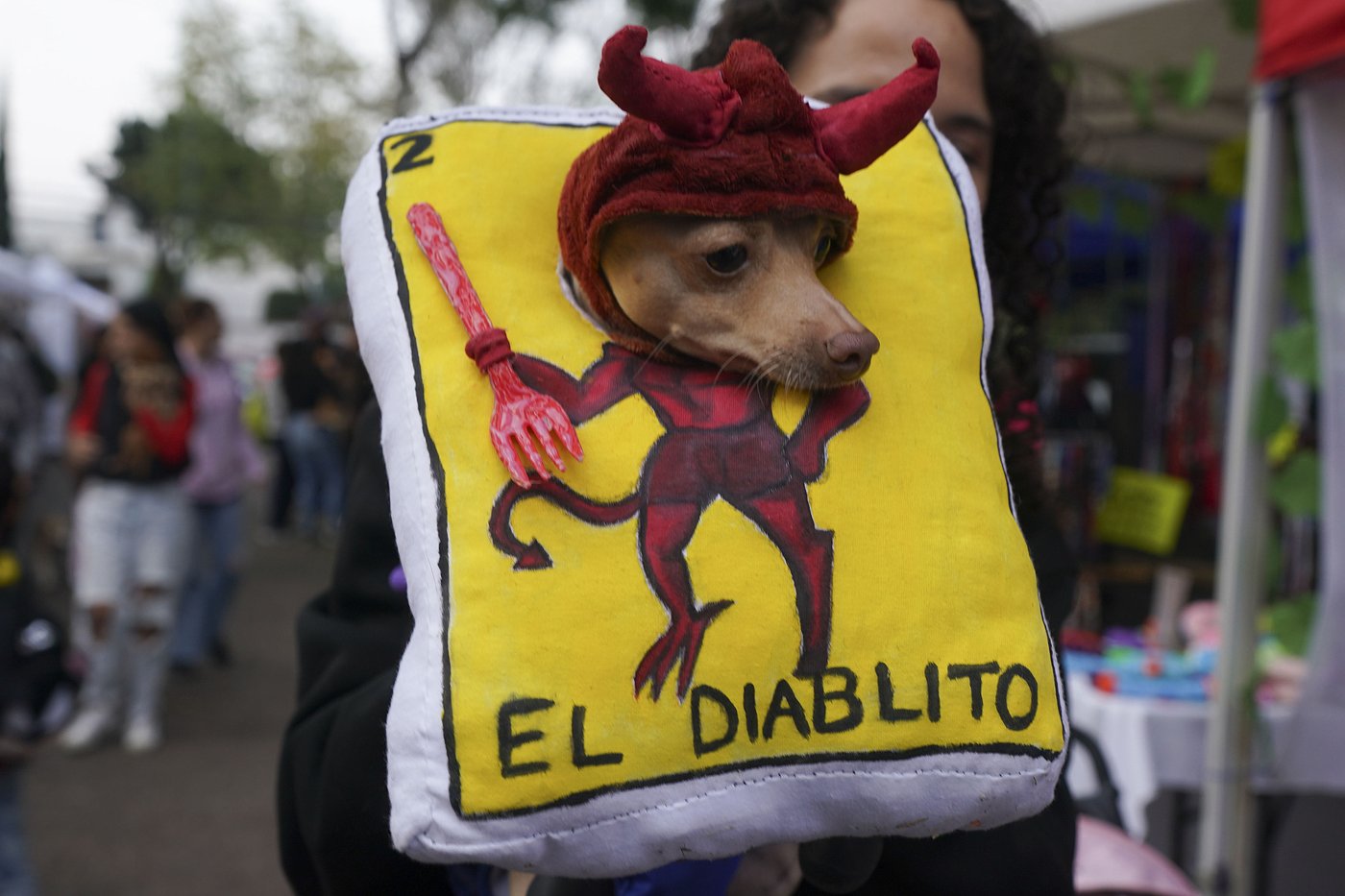 Pets join Mexico's Day of the Dead celebrations, as Fido and Tiger get their own altars | iNFOnews.ca Pets join Mexico's Day of the Dead celebrations, as Fido and Tiger get their own altars | iNFOnews.ca