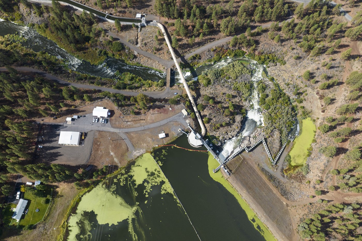 Tribes celebrate the end of the largest dam removal project in US history | iNFOnews.ca Tribes celebrate the end of the largest dam removal project in US history | iNFOnews.ca