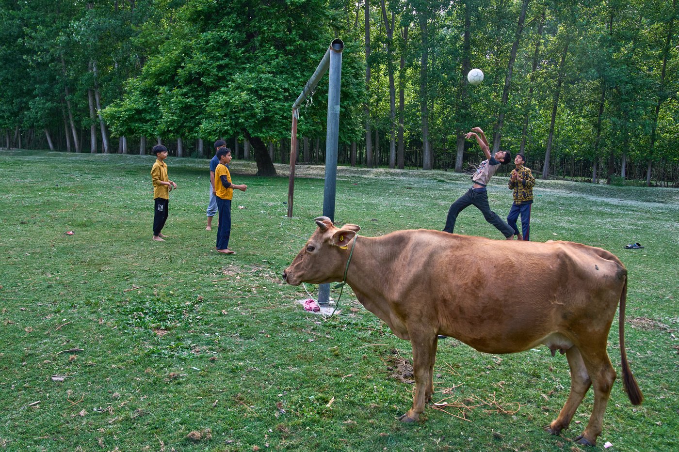 Daily life around the world, in photos | iNFOnews.ca