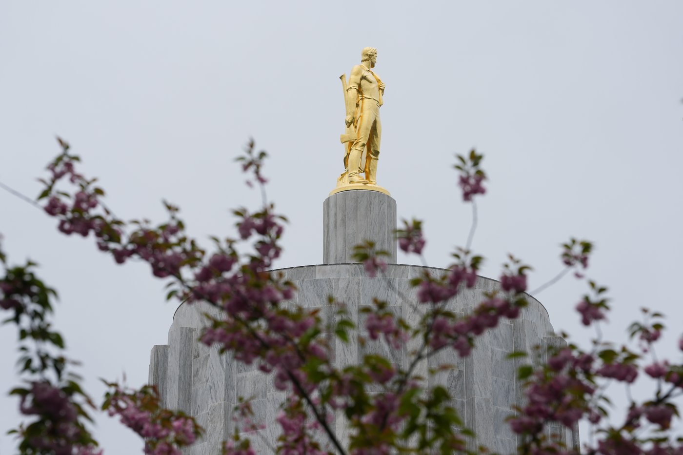 AP Decision Notes: What to expect in Oregon’s primaries | iNFOnews.ca