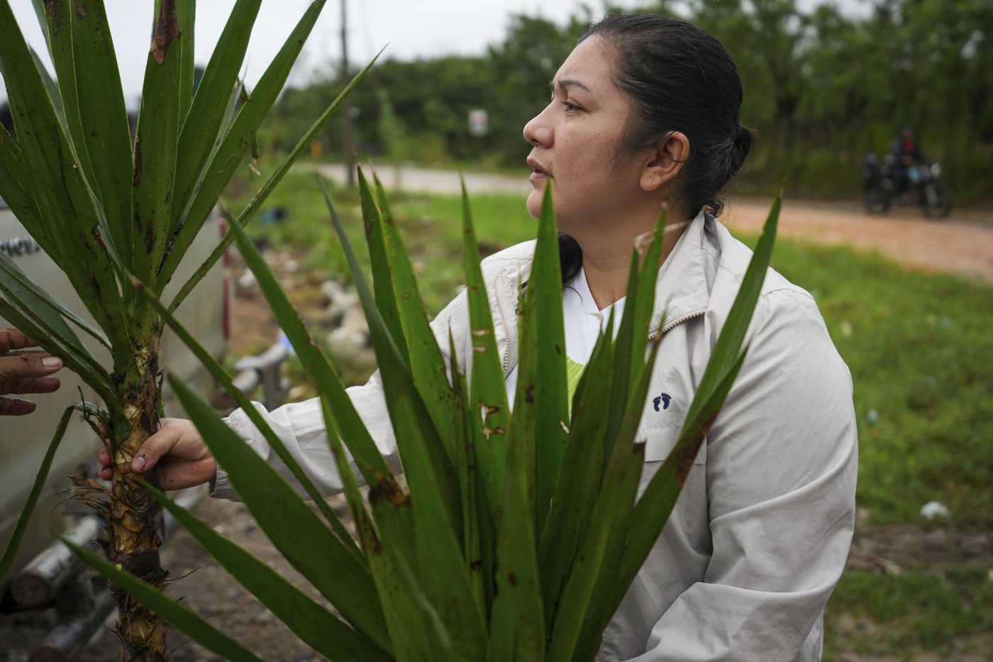 He fought to save jungles in Honduras. Now his killing haunts environmental defenders | iNFOnews.ca