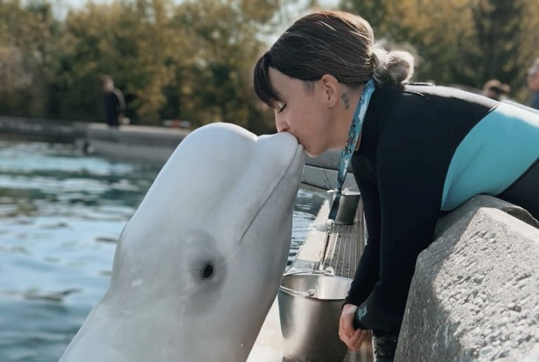'We need to get them out': Beluga trainer fired by Marineland speaks out | iNFOnews.ca