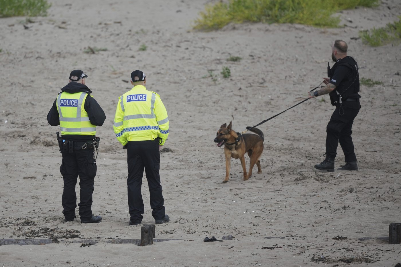 'Why isn't he paying?' Trump's golf visit to cost Scottish taxpayers | iNFOnews.ca