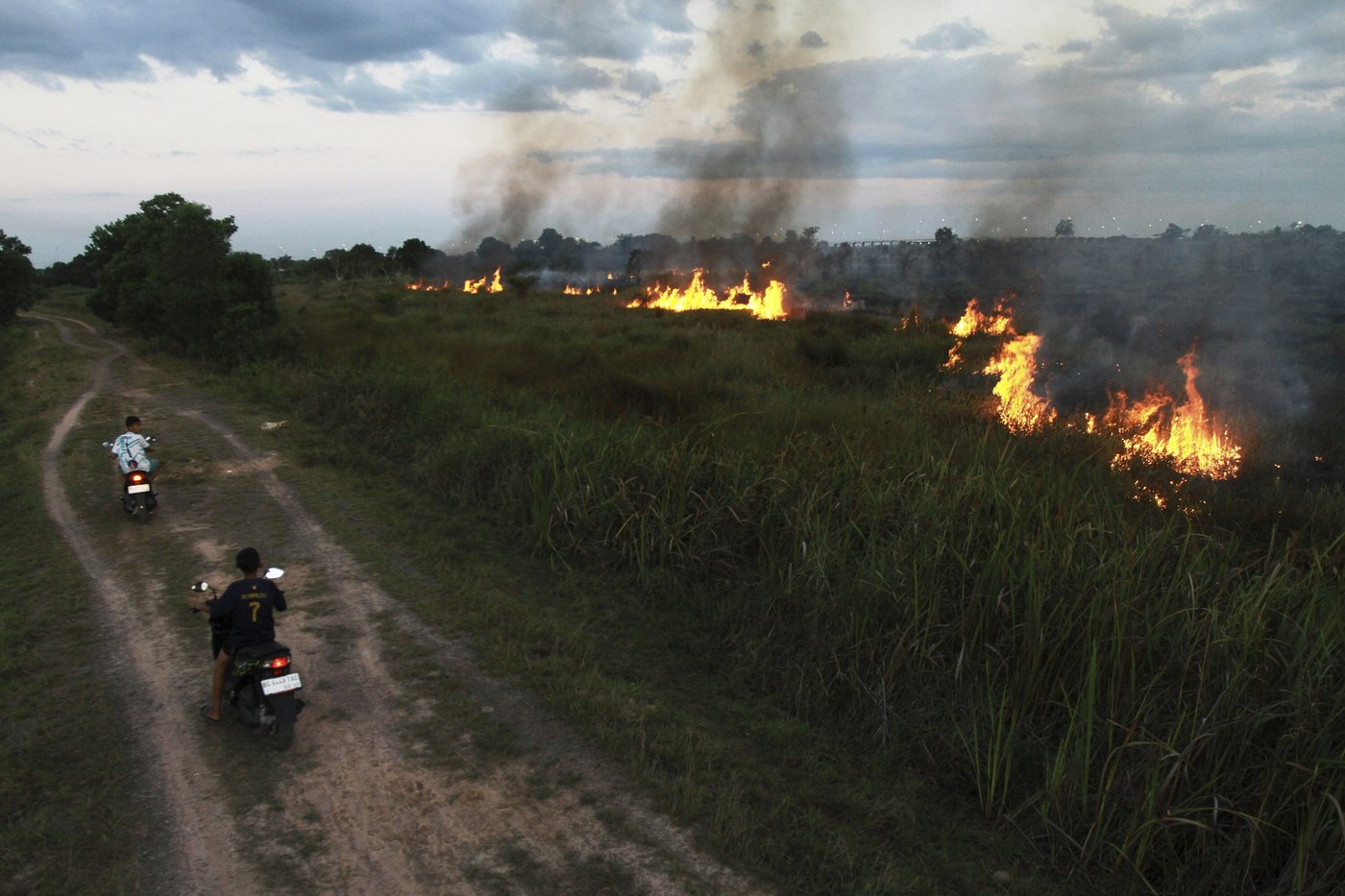 Indonesian police arrest 44 people suspected of starting forest fires | iNFOnews.ca Indonesian police arrest 44 people suspected of starting forest fires | iNFOnews.ca