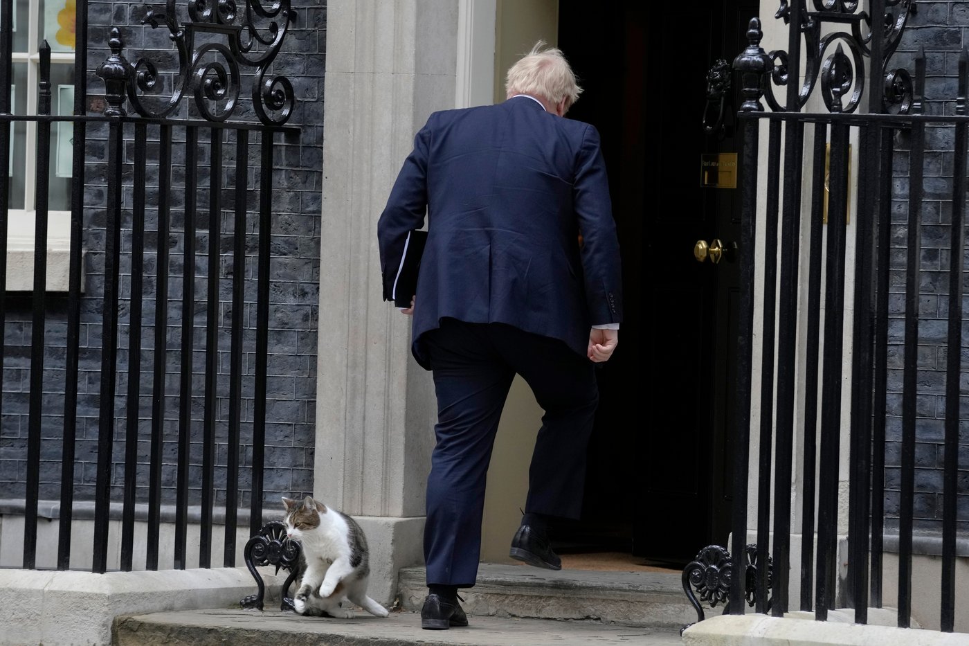Larry the cat, Britain's Chief Mouser at 10 Downing Street for 15 years, in photos | iNFOnews.ca