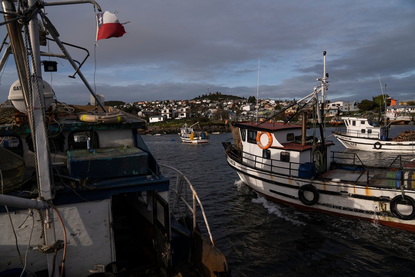 In southern Chile, locals push to protect oceans that have been hurt by intensive salmon farming | iNFOnews.ca In southern Chile, locals push to protect oceans that have been hurt by intensive salmon farming | iNFOnews.ca