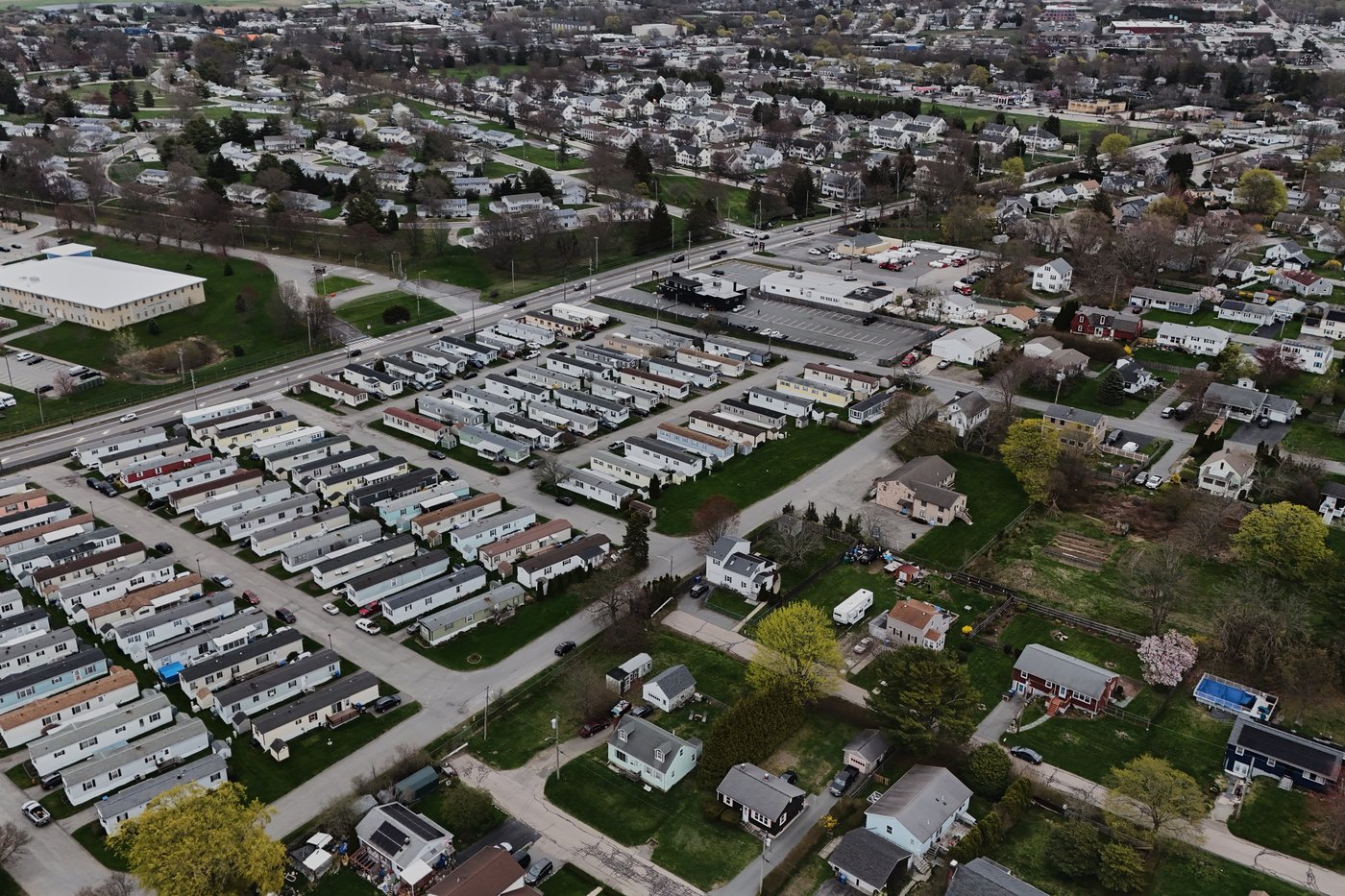 Trees are magic. In Newport, volunteers are working to expand their healthy reach | iNFOnews.ca