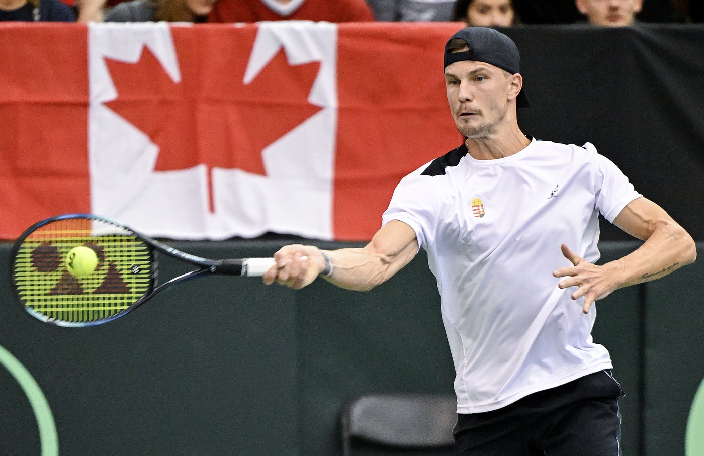 Canada's comeback falls short against Hungary in Davis Cup qualifier | iNFOnews.ca